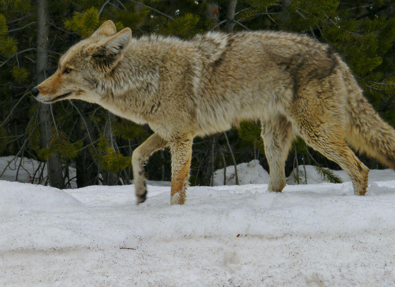 2011_0513Spring 412_800x582.JPG