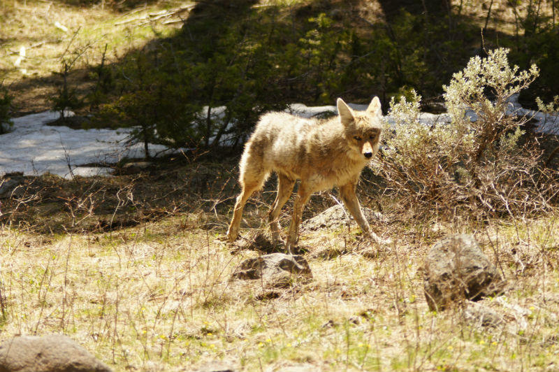 2011_0513Spring0103_800x532.JPG