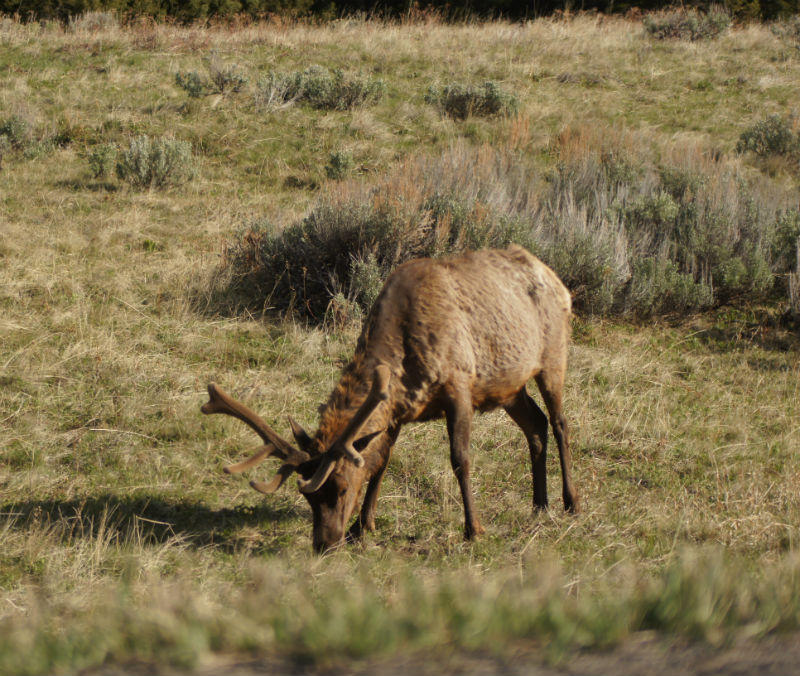 2012_0512Spring0663_800x676.JPG