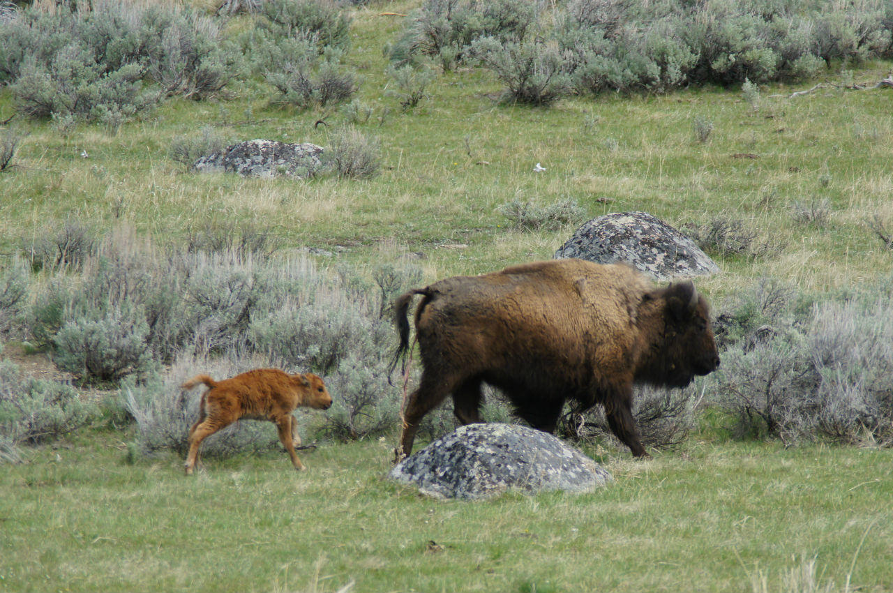 2012_0512Spring1026_1280x850.JPG