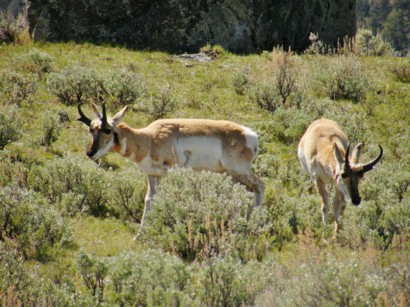 2012_0508Spring 346_800x600.JPG