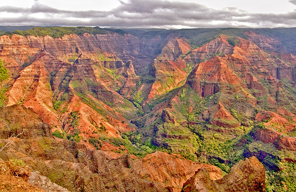 Canyon Light