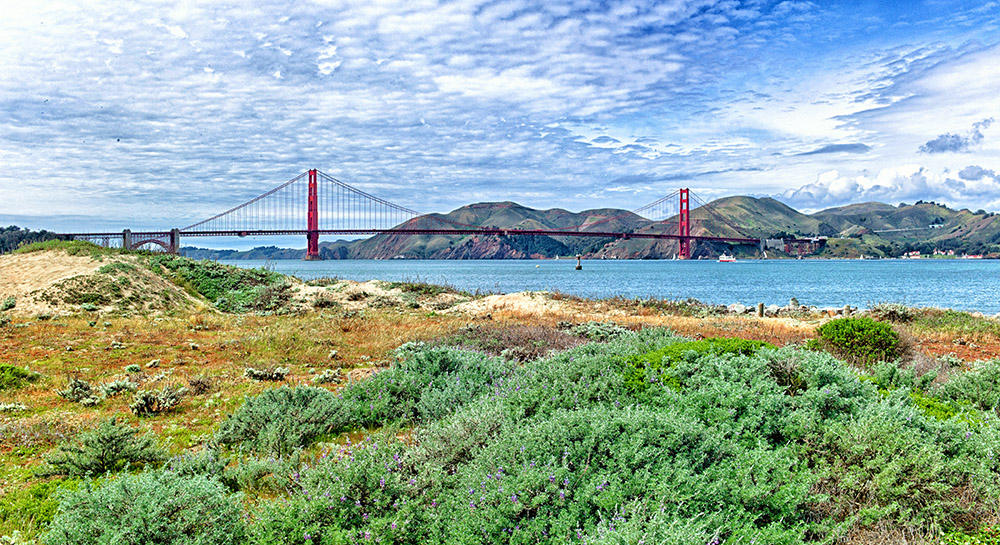 The Bay and The Golden Gate