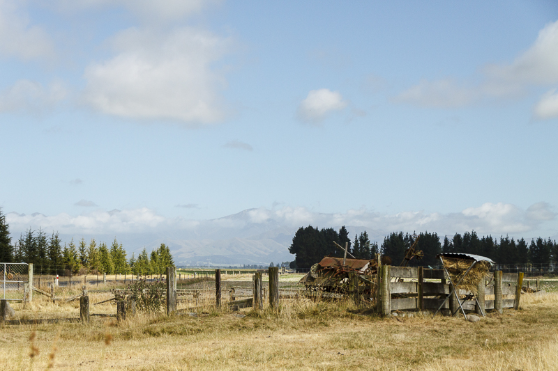 NZ South 21.jpg