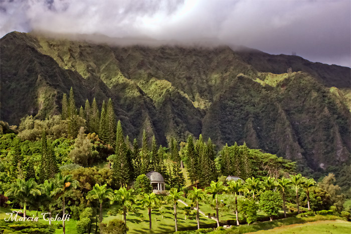 VALLEY OF THE TEMPLE KENEOHE_9615.jpg