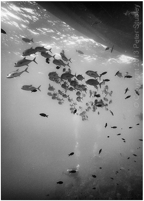 Under the boat.