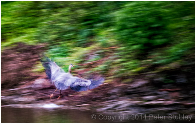 Flight.