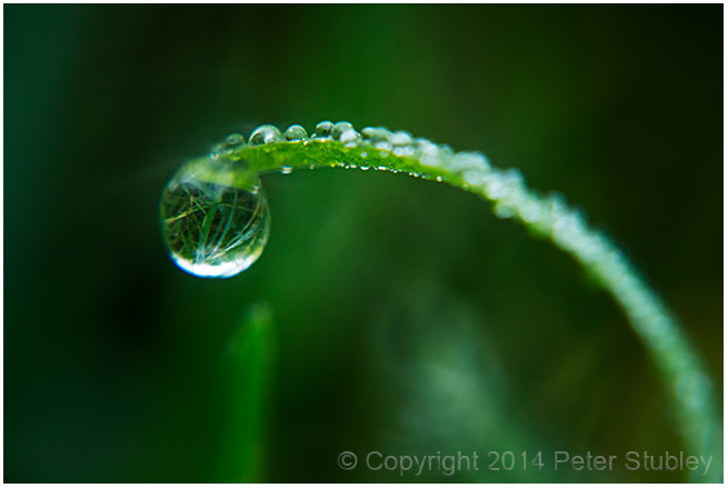 Arc of a dew.