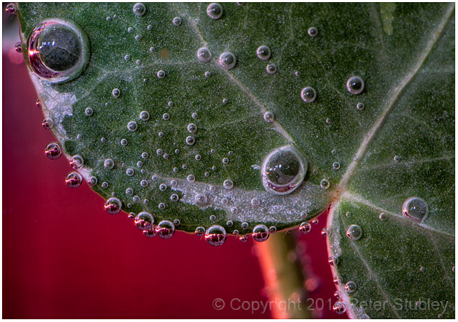 Glass bubbles 2.