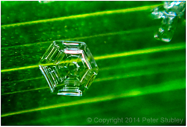 Winter dew.