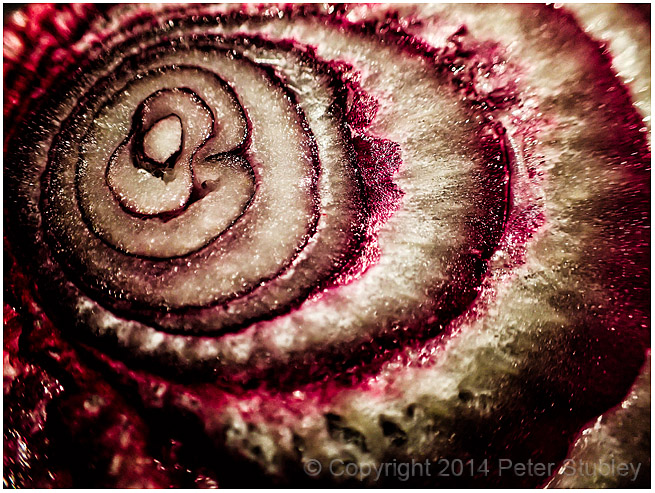 Red onion.