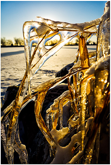 Frozen in time.