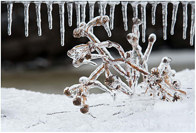 Freezing rain.