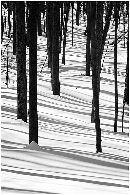 Snow graphics.