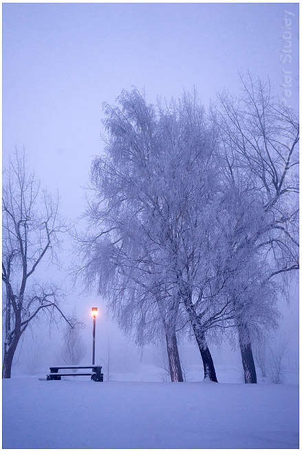 Ice fog dawn.