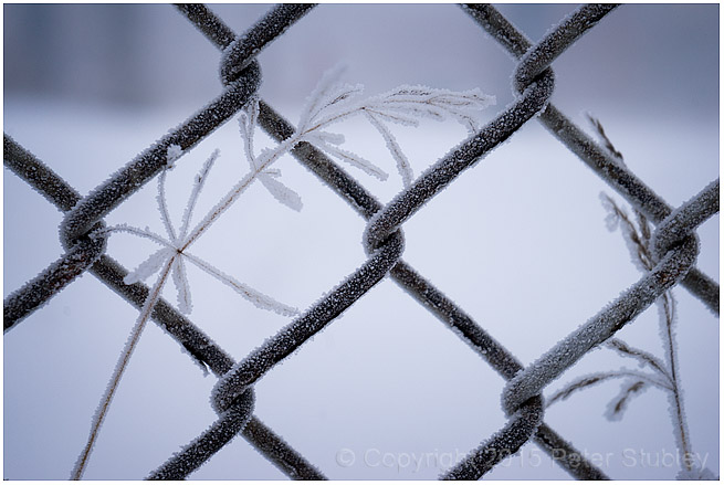 Ice fog hoar frost.