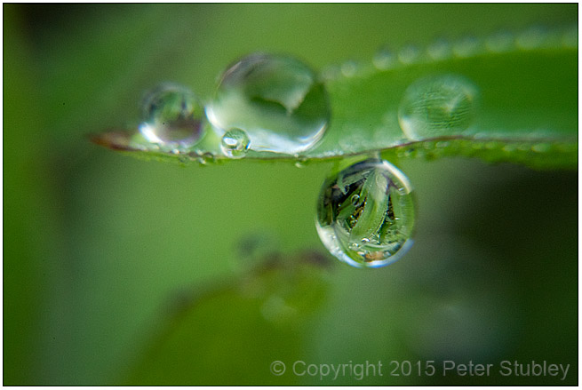 Above and below dew.
