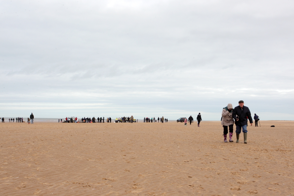 Sperm Whale_Old Hunstanton_05-02-16__LOW4804.JPG