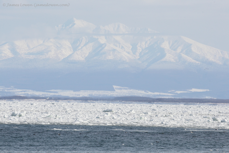 Frozen sea at Abashiri_7559