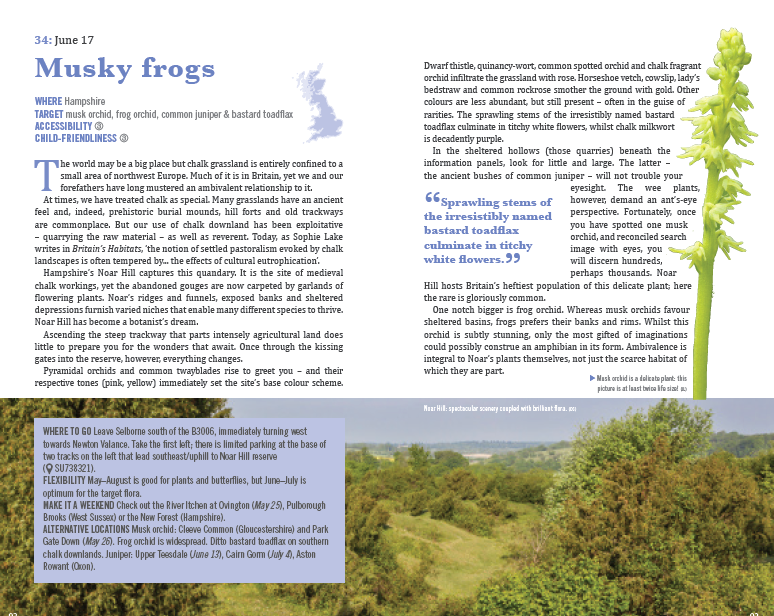 A Summer of British Wildlife - the book