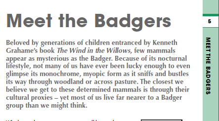 Badgers - the book