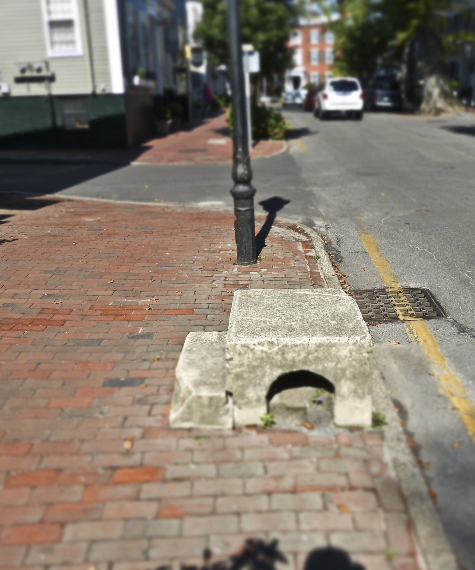 Carriage Step.JPG