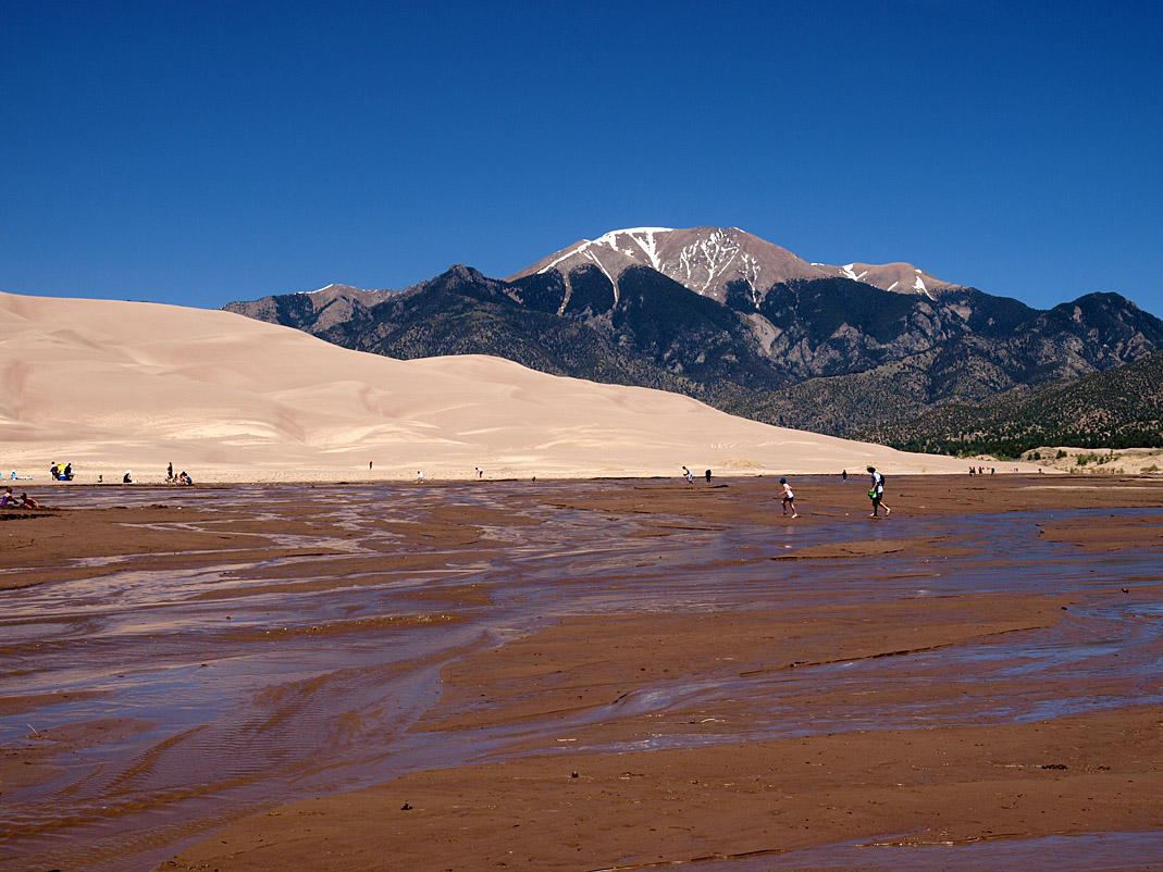 P5313621 - Contrast at Great Sand Dunes National Park.jpg