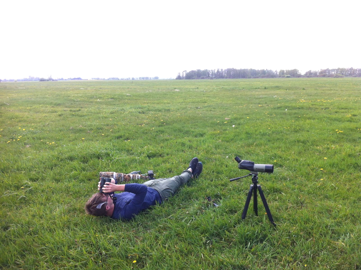 Waiting for Lesser spotted Eagle
