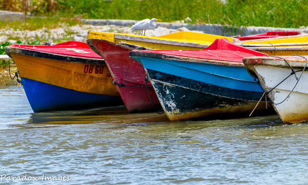 Colorful Fishing Boats