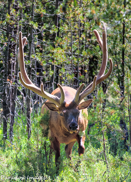 What a rack!