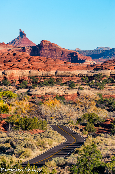 Road through Needles