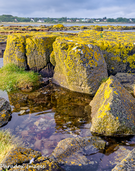 Longniddry Bents