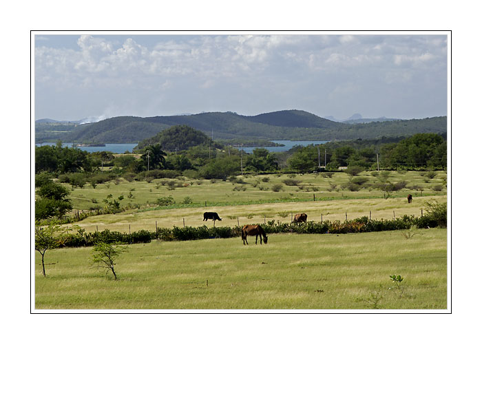 Cuban Countryside
