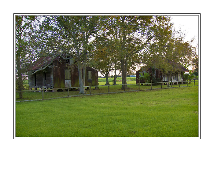 DSC_2907.jpg