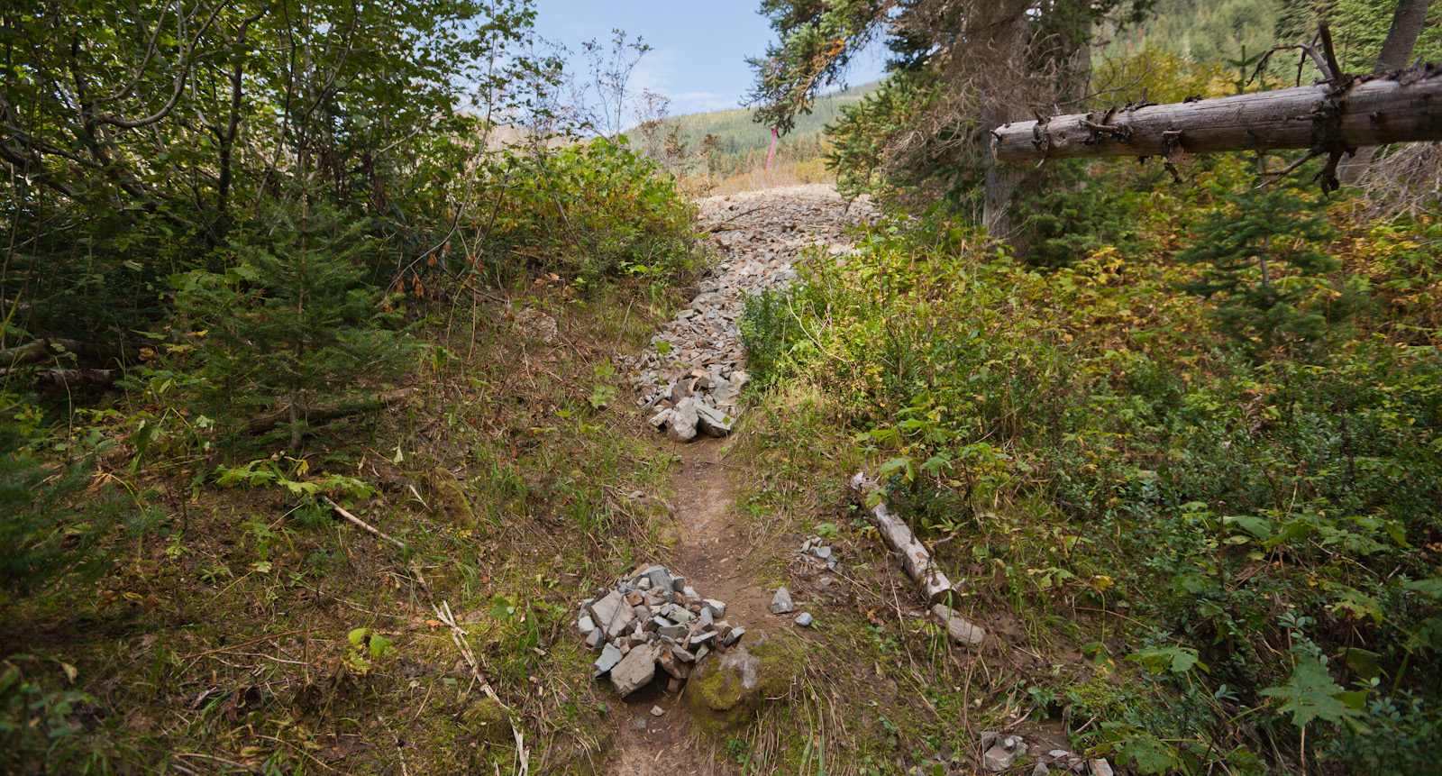 MebeeLO_RnR_091513_674-82.jpg