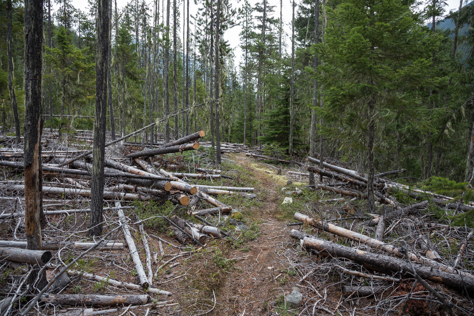 EastCreek_040315_043-2.jpg