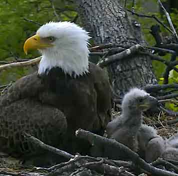 Mom and kids April 9