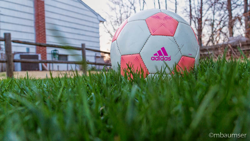 Ball In The Grass
