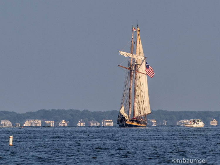 Annapolis_74482