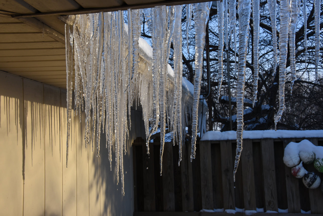 Todays back porch view