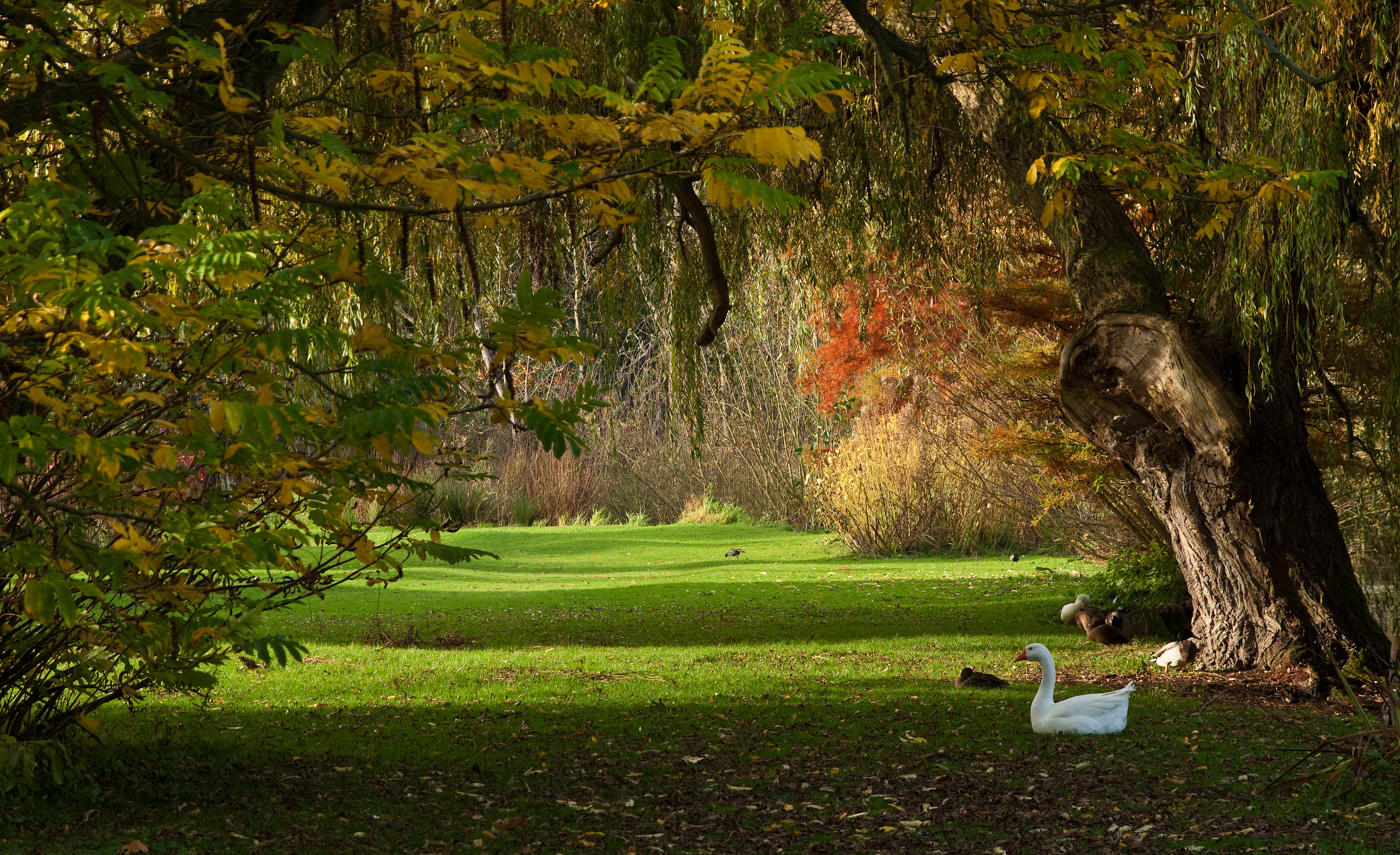 Thwaite Hall Gardens -6351.jpg