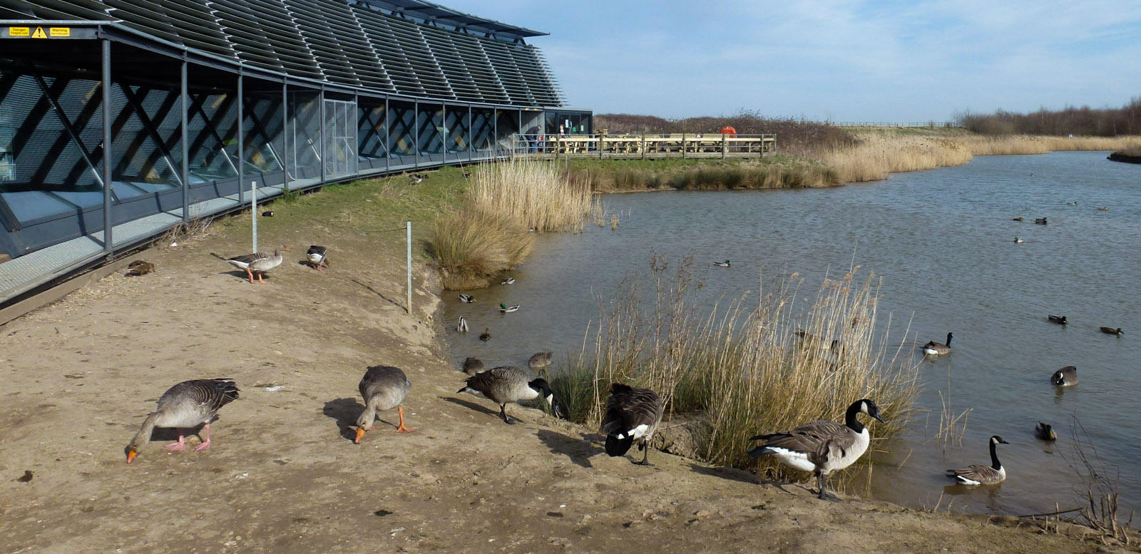 Waters Edge Visitor Centre, Barton P1020916.jpg