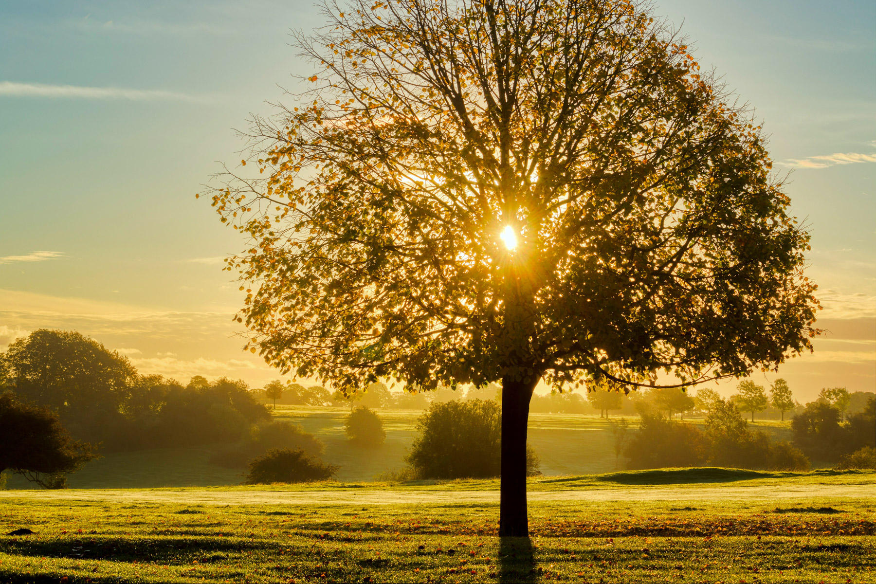 Beverley Westwood IMG_6113.jpg