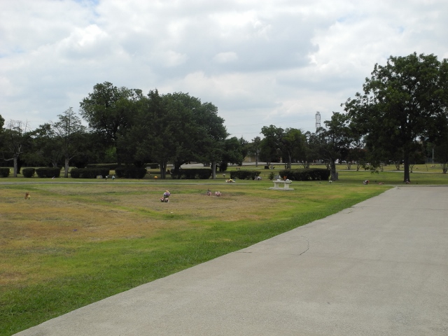 Looking out is a basic field of flat markers
