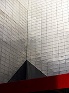 the red and the black .jpg