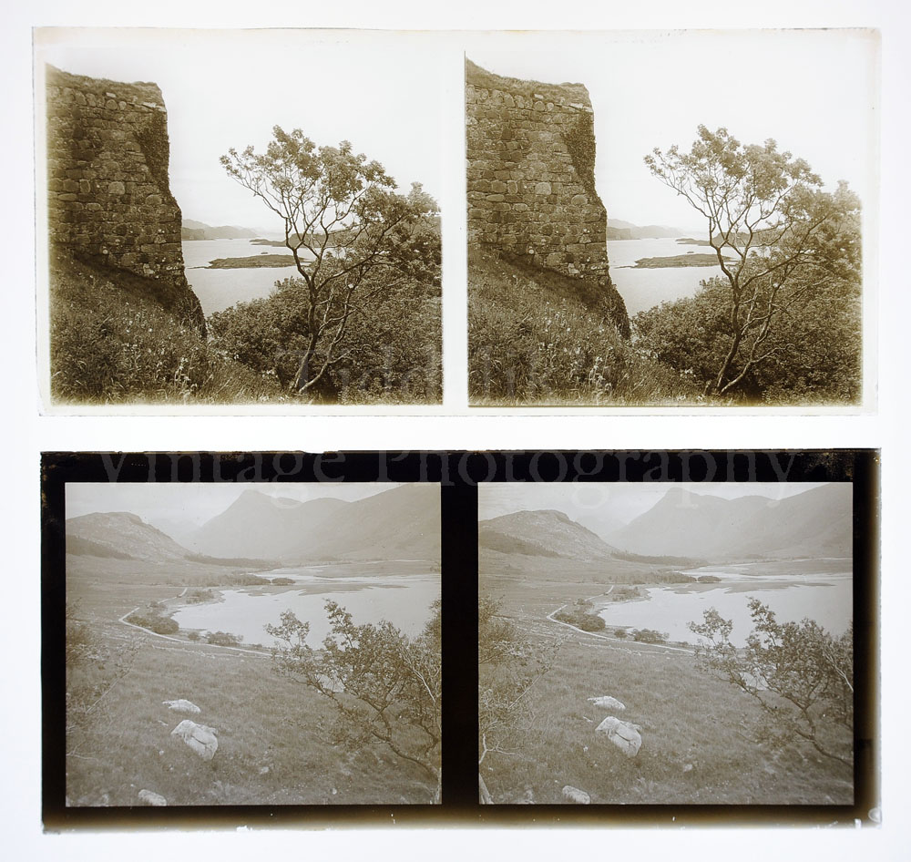 13 Stereoview Glass Plate Positive.jpg