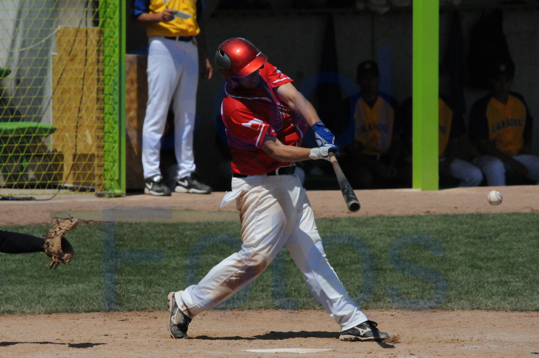DSC_2982.JPG