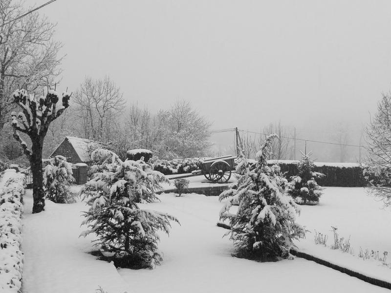 this afternoon at home