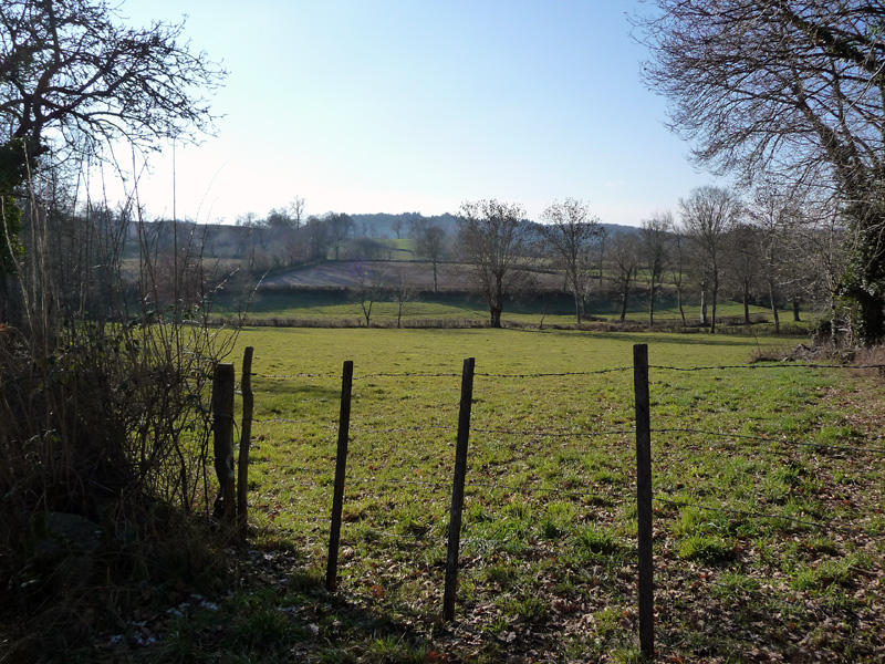 Puy de Mergue