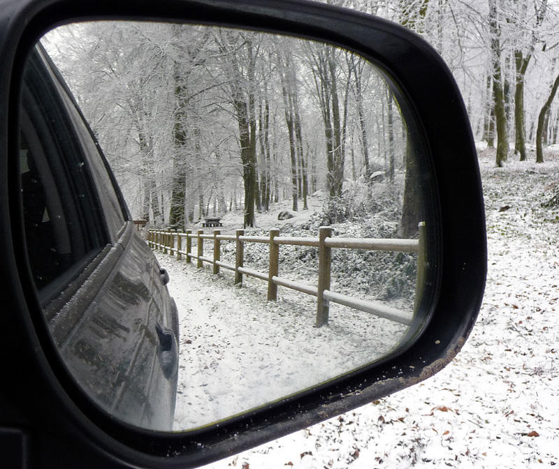reflection